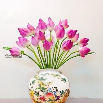BÌNH DÁNG CHUM SỰ SỰ NHƯ Ý – NGŨ TỬ ĐĂNG KHOA